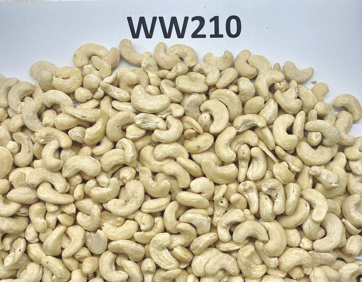 W210 Jumbo