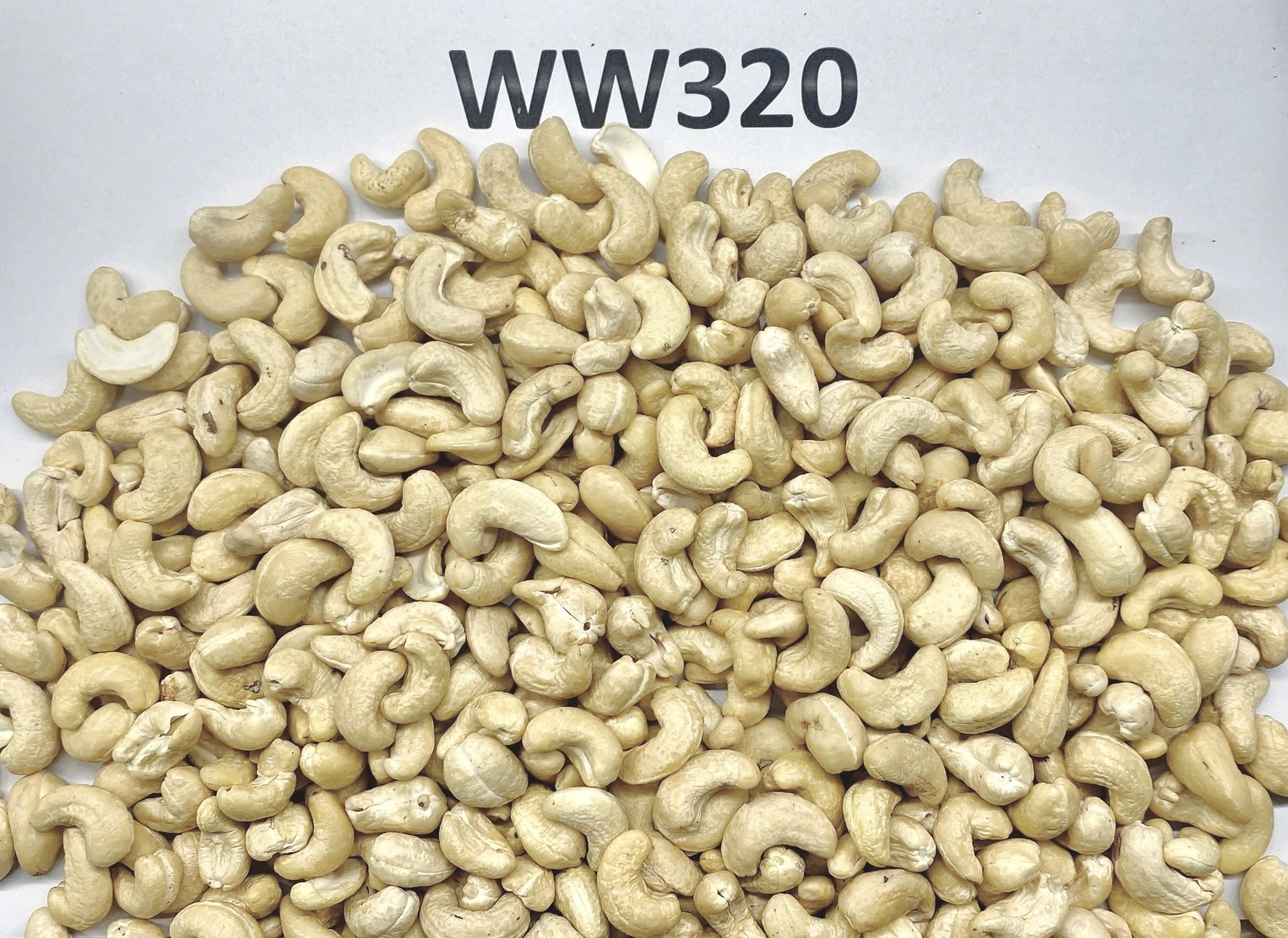 W320 Standard